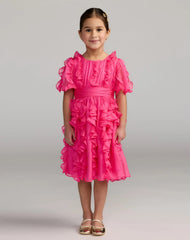 Girls Pink Chiffon High Neck Ruffle Dress